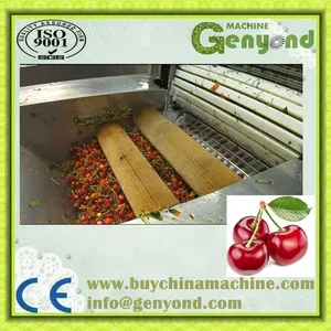 Strawberry Jam Strawberry Jam Production Line Multifunctional Fruit Processing Machine thumbnail-6