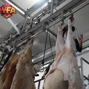 WFA Large Scale Cattle Slaughterhouse Equipment Cow Abattoir Machine Meat Processing Plants Turnkey Installation thumbnail-5