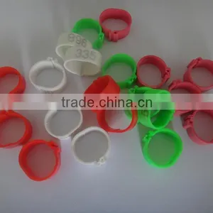 Plastic Leg Rings to Distinguish Chicken or Birds thumbnail-1
