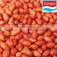 Red Peanut Kernels thumbnail-1