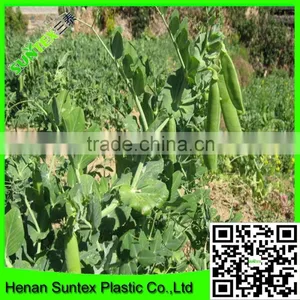 SUPER Wire Mesh Back Support for Growing Plants Climbing Plant Support Mesh thumbnail-2