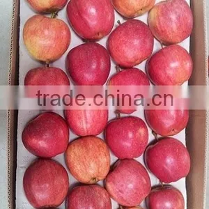 Fresh Royal Gala and Gala Apples thumbnail-1