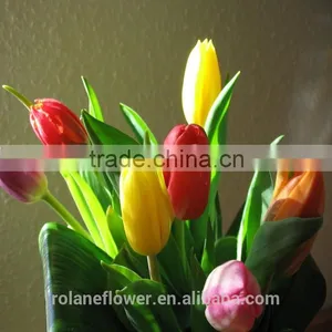 Best Selling Beautiful Fresh Cut Yellow Tulip Bulbs Flower for Exporting thumbnail-5
