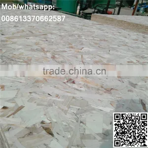 Best Price OSB Board thumbnail-3
