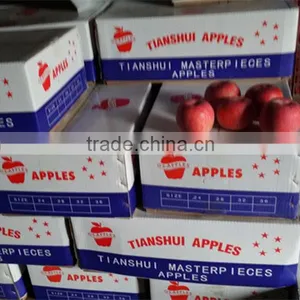 New Season Fuji Apples With Cheap Price From Fruits Factory thumbnail-2