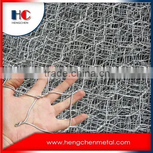 High Quality Guaranteed Galvanized Pvc Coated Low Carbon River Protection Pvc Coated Gabion Box thumbnail-5