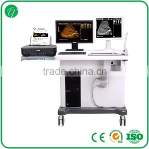 19"LCD Ultrasound Scanner PRICE With High-end Color Inkjet Printer Display Image in Real Time thumbnail-1