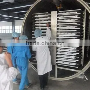 New Condition and Dryer Type Food Lyophilizer thumbnail-2
