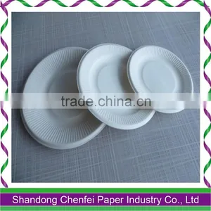 2016 One-off Bagasse Paper Plate and Paper Dish for Sale thumbnail-4