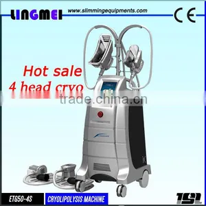Body Reshape ETG50-4S 4 Handles Cryotherapy Criolipolise Cryolipolysis Head Fat Reduction Freezefats System Weight Loss Cryolipolysis Machine Skin Lifting thumbnail-1
