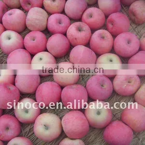 Delicious Fuji Apple thumbnail-1
