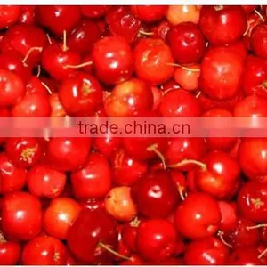 Acerola Powder thumbnail-1