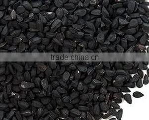 Black Cumin OIl thumbnail-5