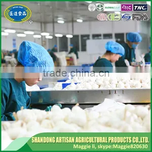 Fresh Garlic for Sale thumbnail-5