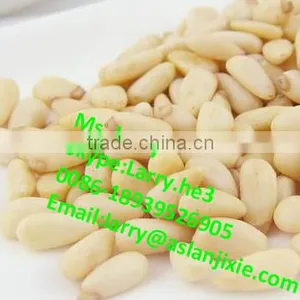 Pine Cone Peeler Machine/pine Cone Skin Peeling Machine/automatic Pine Cone Peeler thumbnail-4