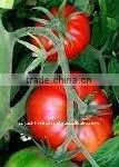 Agricultural by Product thumbnail-1
