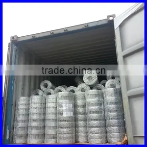DM Hot Sale HDG High Quality Field Fence ( Anping Factory ) thumbnail-3