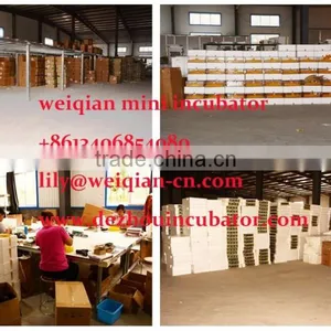 2016 Hotselling Automatic Egg Incubator,mini Egg Incubator Hotsale in UAE thumbnail-5