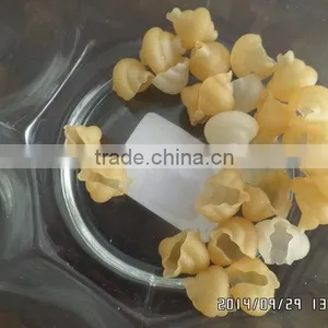 China Supplier Manufacture Economic Pellet Snack Food Extrusion Machine thumbnail-6
