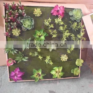 SJ4001205 Fake Wall Decorative With Artifiical Plant thumbnail-4