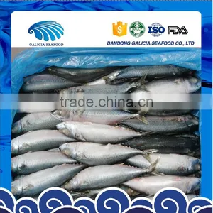Block Frozen Whole Round Mackerel Fish thumbnail-1