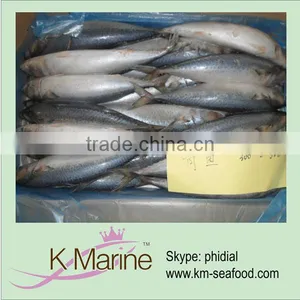 Boat Frozen Mackerel thumbnail-1