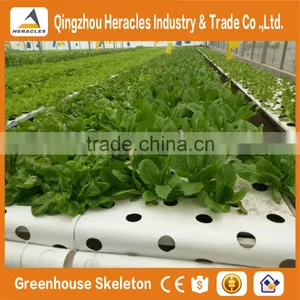 Heracles 2016 Hot Sale Flower Pot Vertical Garden Green Wall With Hydroponics System thumbnail-2