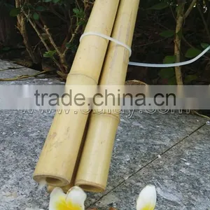 Hollow Guadua Bamboo Poles Can be Split thumbnail-1