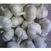 High Quality Fresh Garlic Price thumbnail-2
