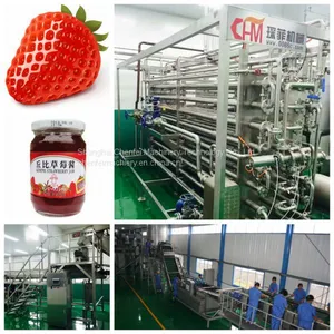 Strawberry Paste Processing Line thumbnail-1