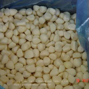 Frozen Peeled Garlic Cloves thumbnail-1