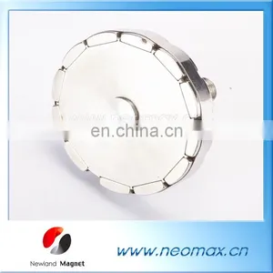 Factory Directly Supply High Quality Customized Magnetic Motor, Rotor for Hot Sale thumbnail-1