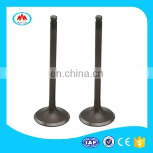 Farm Tractor Parts Engine Valve for Foton Lovol 254 404 504 704 804 824 1454 thumbnail-3