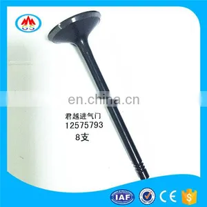 Top Speed Race Motorcycle Parts Engine Valve for Kawasaki Zzr250 Zzr1400 Zzr600 Zzr1100 Zzr1200 Zzr1000 thumbnail-1