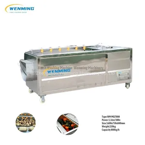 Potato / Carrot / Pumpkin / Lotus Root Brush Washing & Peeling Machine thumbnail-3