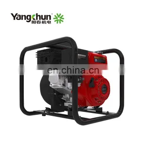 Low Noise Small 5.5Hp Farm Irrigation Petrol Water Pump Agricultural thumbnail-2