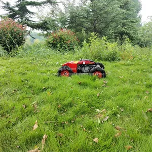 Remote Controlled Lawn Mower, China Pond Weed Cutter Price, Remote Control Lawn Mower for Sale thumbnail-1