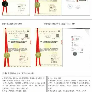 Hague Certification, Certificate of Origin thumbnail-1