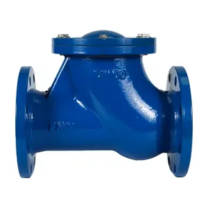 HQ41X PN16 DN250 GGG50 Ductile Iron CI DI Water Rubber Disc Swing Ball Check Valve thumbnail-1