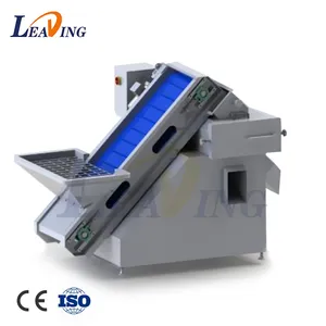 Hot Sale Saudi Arabia Automatic Palm Dates Processing Machine Dates Washing Pitting Grading Line for Palm Dates Processing thumbnail-2