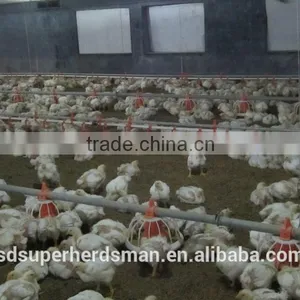 Poultry Farm Feed Machinery thumbnail-2