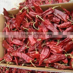 2014 New Crops Chinese Sweet Chilli Paprika thumbnail-1