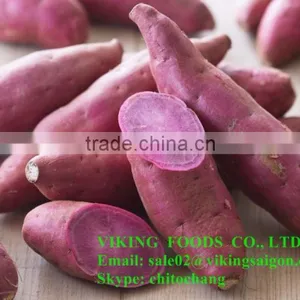 HOT SELL - COOKED FROZEN SWEET POTATO - HIGH QUALITY thumbnail-2
