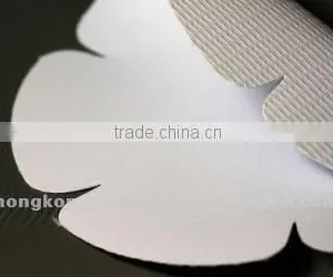Laminated Frontlit 440gsm 300D*500D 12*18 thumbnail-1