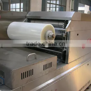 Hot Sale Mozzarella Cheese Thermoforming Vacuum Packaging Machine Sealing Machine Supplier's Choice thumbnail-5