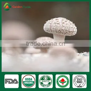 Organic Shiitake Mushroom,Dried Shiitake Mushroom,Shiitake Mushrooms 1kg thumbnail-6