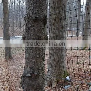 Factory Chicken Plastic Net/hencoop Plastic Net thumbnail-4