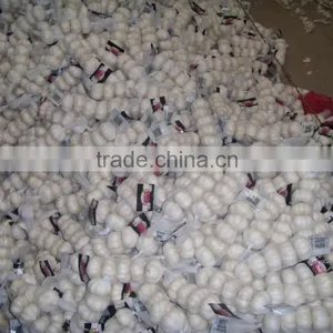 Garlic Market thumbnail-2