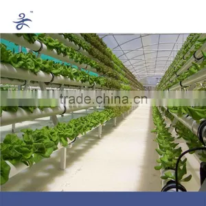Hydroponics Tower for Vegetable Greenhouse thumbnail-1