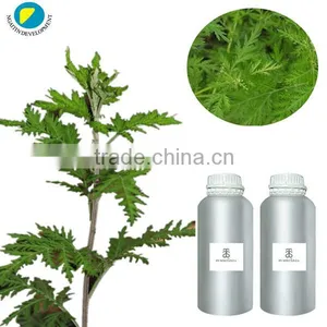 100%Pure and Natural ARTEMISIA SCOPARIA Oil thumbnail-1